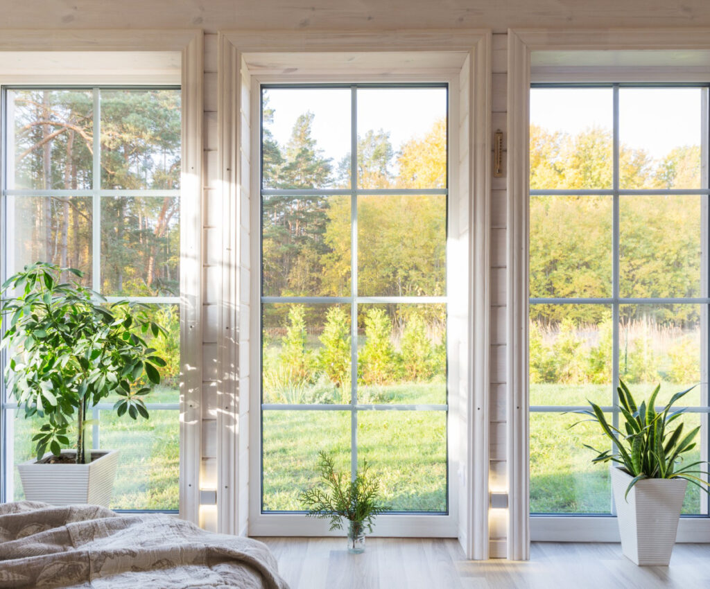 Services - TrueView Window Care